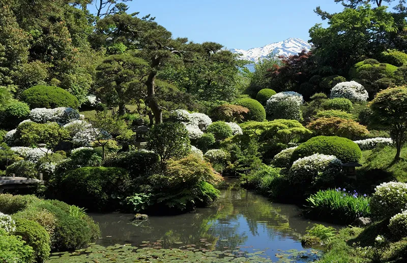 本間氏別邸庭園（鶴舞園）